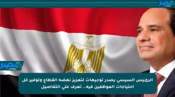 الرئيس السيسي يصدر توجيهات لتعزيز نهضة القطاع وتوفير كل احتياجات الموظفين فيه.. تعرف على التفاصيل
